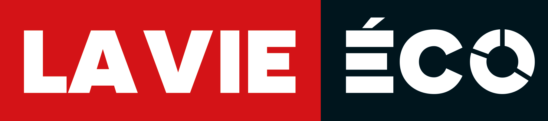 LVE-Logo-Mag