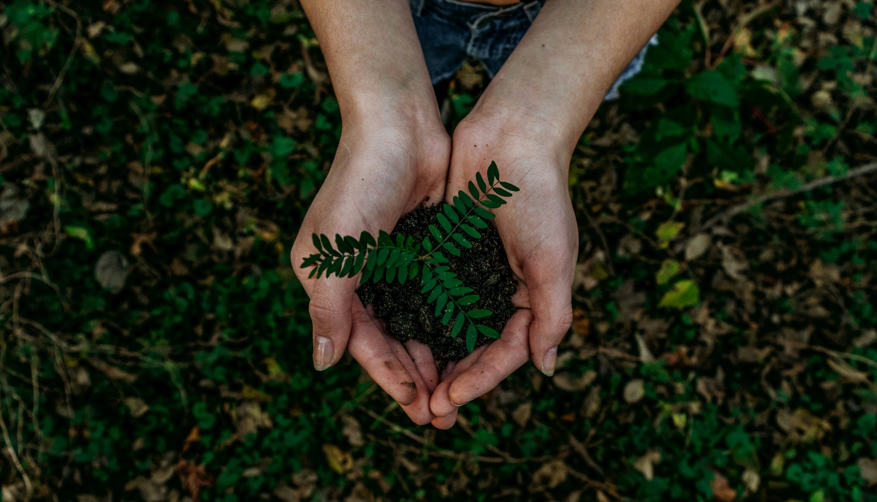 Sand_to_Green_Regen_Ag_Benefits