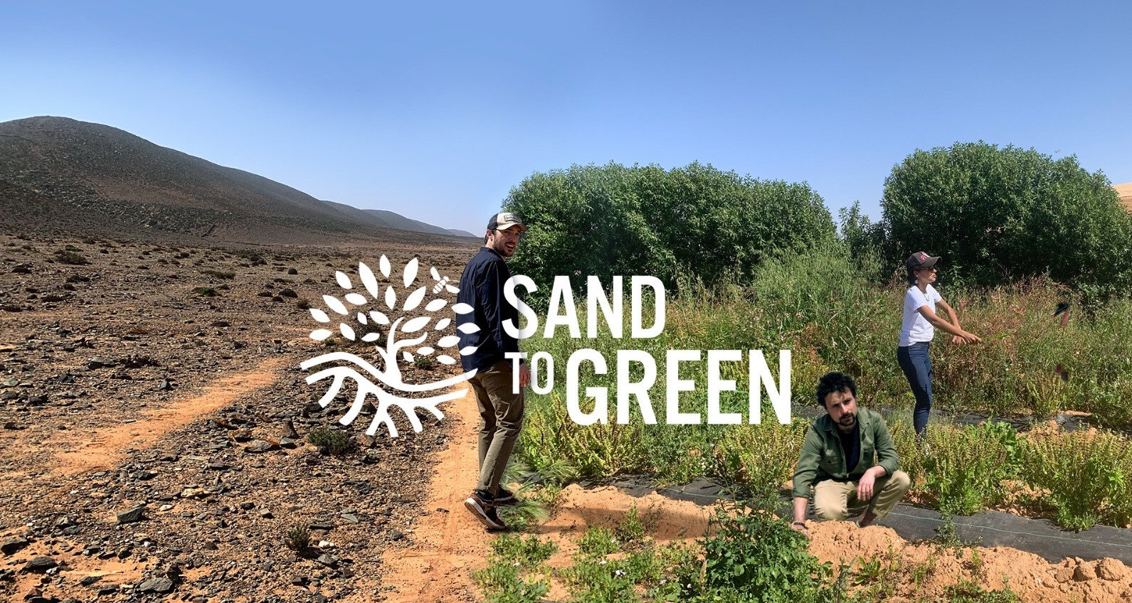 Category Sample Image